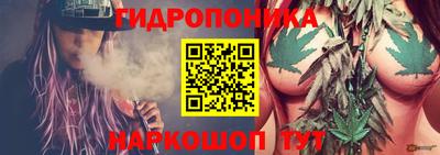 винт Дубна