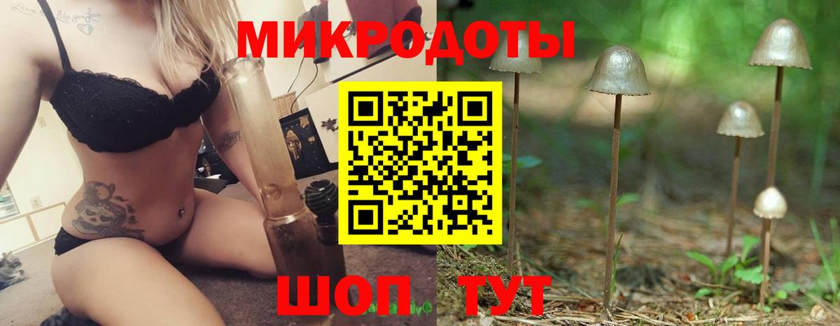 Курчалой  Псилоцибиновые грибы Psilocybe  Вход с VPN 